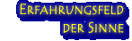 Erfahrungsfeld der Sinne